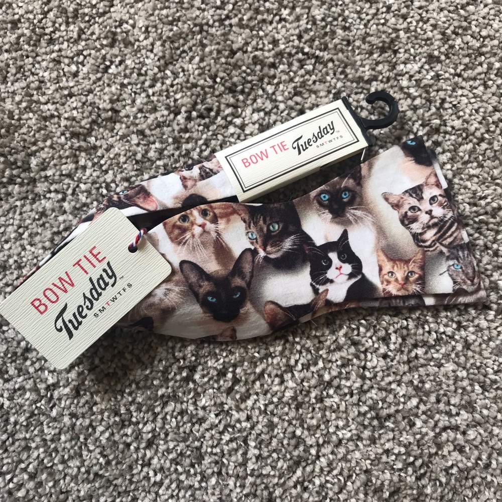🐈 KITTY BOW TIE! 🐈